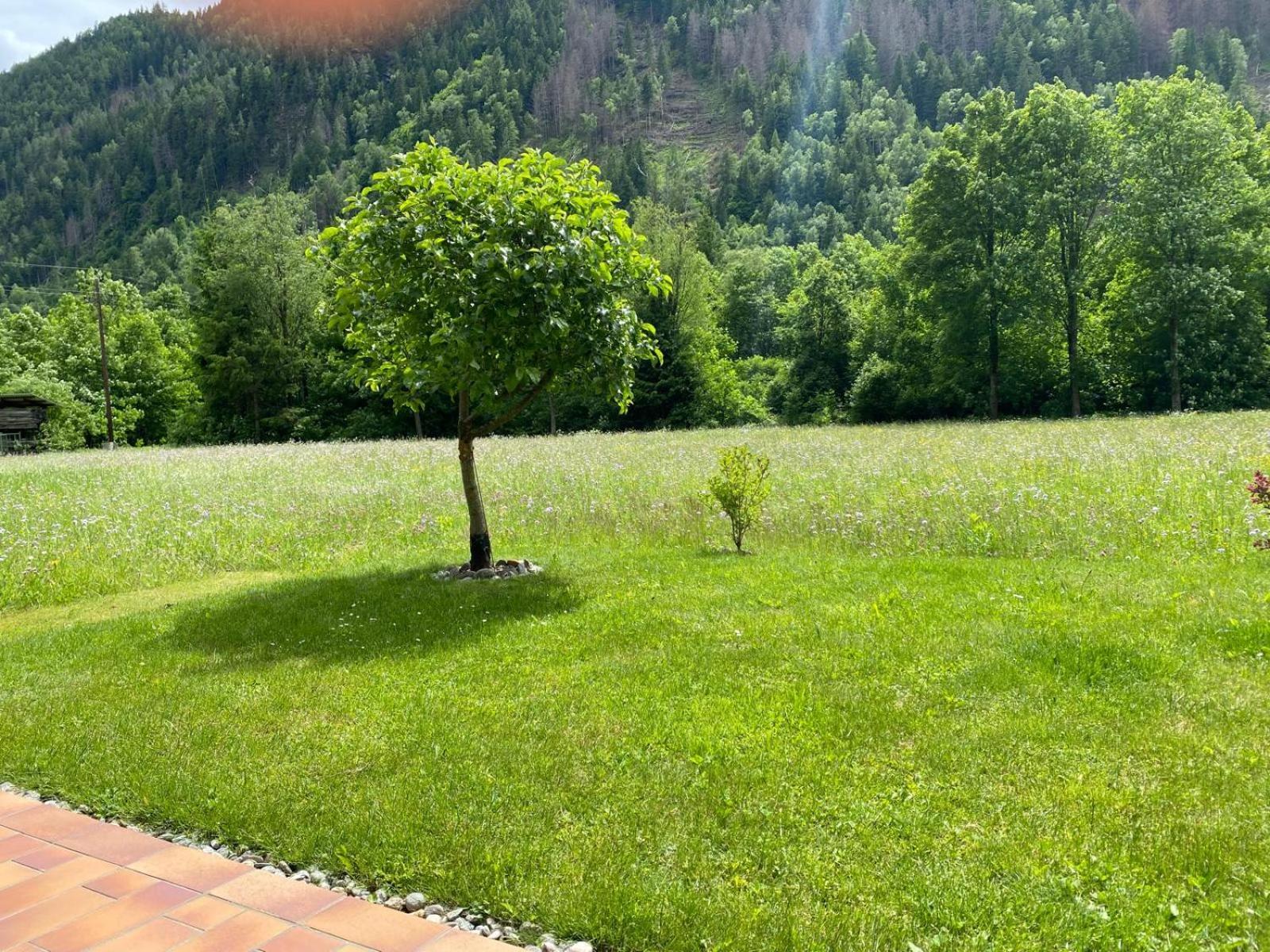 Appartement Dallavia Unterleibnig Экстерьер фото